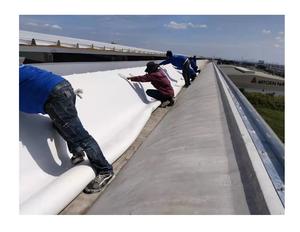 <span class=keywords><strong>แผ่น</strong></span><span class=keywords><strong>หลังคา</strong></span>สีขาวยืดหยุ่น TPO 60ล้าน TPO (เทอร์โมพลาสติกโพลีโอเลฟิน) เมมเบรนกันน้ำ - Product Image 5