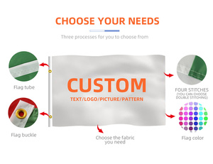 Banderas Personalizadas de Irán, Bandera Persa de 3x5 Pies con León Antiguo, Impresión Digital en Poliéster, Bandera Resistente para Campañas - Product Image 6