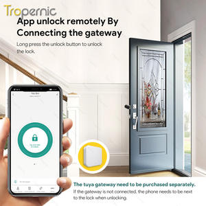 Impronta digitale <span class=keywords><strong>cilindro</strong></span> <span class=keywords><strong>cilindro</strong></span> principale in ottone di sicurezza Tuya Euro elettronica Smart <span class=keywords><strong>cilindro</strong></span> serratura serratura a mortasa <span class=keywords><strong>cilindro</strong></span> - Product Image 3