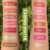 OEM 14 Warna Bentuk Bulat Single Face Cream Blush Stick Vegan Dengan Logo Anda, Saku, Travel, Grosir, Makeup Blush Vegan