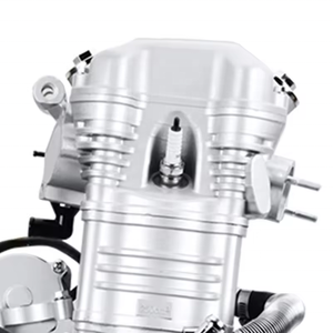 Moteurs de moto CQJB <span class=keywords><strong>Moteur</strong></span> de moto <span class=keywords><strong>Lifan</strong></span> <span class=keywords><strong>250cc</strong></span> 2 cylindres - Product Image 2