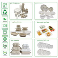 Bol en pulpe de bagasse écologique et biodégradable, sans PFAS, conforme aux normes UE PPWR, 350 ml (12 oz), avec couvercle en PET, compatible micro-ondes et étanche
