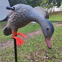 Médicaments pour la chasse au canard, jouet pour la chasse