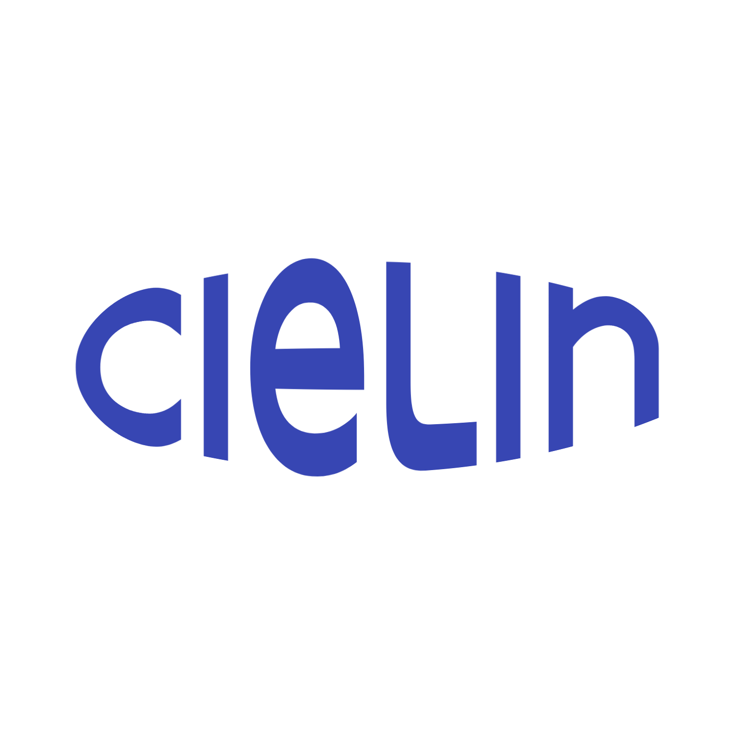 Shanghai Xilin Import And Export Co., Ltd. logo