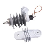Parafoudre spécial en caoutchouc silicone pour la protection de l'isolation haute tension des postes de transformation contre les surtensions d'éclairs