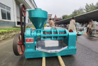 YZYX120 Machine complète de presse à huile d'arachide Machine de moulin à huile d'arachide à échelle moyenne Machine automatique de traitement de l'huile d'arachide