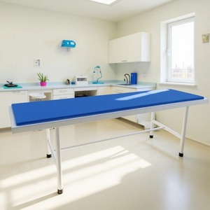 เตียงนวดสแตนเลส YC-F03 โต๊ะตรวจโรคที่ทนทานสำหรับใช้ในร้านเสริมสวยและคลินิก - Product Image 2