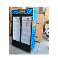 Réfrigérateur vertical de présentation de boissons, distributeur mondial, garantie de 3 ans, vitrine de boissons, refroidisseur de cola, porte en verre