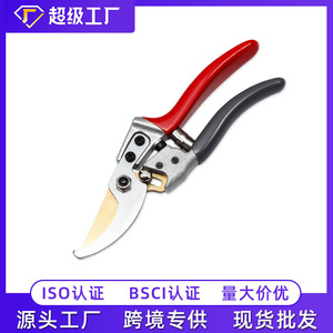 Yangjiang Stainless Steel <b>Pruning</b> Shears 53mm Blade Garden Fruit <b>Tree</b> Cutting <b>Tool</b> Household Orchard Flower Trimming Scissors - Product Image 5