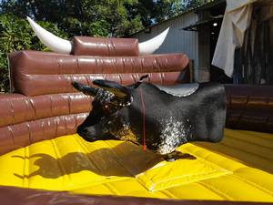 <span class=keywords><strong>Toro</strong></span> Mecánico Sexual Personalizado e Interesante, Juguete de Rodeo para Niños y Adultos - Product Image 6