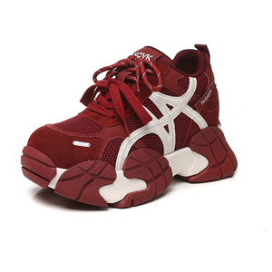 Baskets compensées épaisses pour femmes, style Dad Sneakers, Nouveautés Printemps 2026, Polyvalentes, Tendance, Chaussures de marche respirantes et confortables - Product Image 3