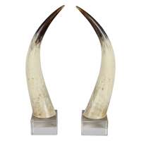 Paire de cornes de buffle longues, qualité supérieure, polies naturellement, artisanales, style trophée, pour décoration murale