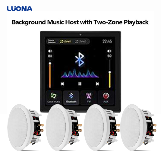 BLE 5.0 Smart In-Wall Music Player, Multi-Source Wall Audio System for Home, Hotel, Villa Multi-Functional In-Wall Music Player