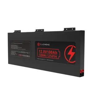 Pin Lithium Sắt Phốt Phát 12V 48V 60V 20ah 30ah 100ah 200ah Giá Nhà Sản Xuất Pin Lithium Lifepo4