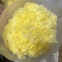 Grandes fleurs d'hortensia préservées au toucher réel, bouquet de fleurs de haute qualité, vente en gros, décoration de mariage, décoration intérieure