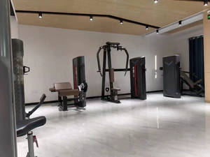 โรงงานขายตรงอุปกรณ์ออกกำลังกายในเชิงพาณิชย์ช่วยให้คางขึ้นและสถานีจุ่ม - Product Image 6