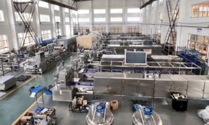 เครื่องเติมหมากฝรั่ง2สีสภาพใหม่พร้อมวิศวกรรองรับ PLC เป็นส่วนประกอบหลัก - Product Image 5