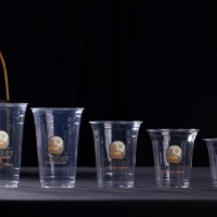 Gobelets jetables en plastique PET transparent de 12oz/16oz/20oz avec logo personnalisé Café à emporter boissons froides idéal pour les fêtes