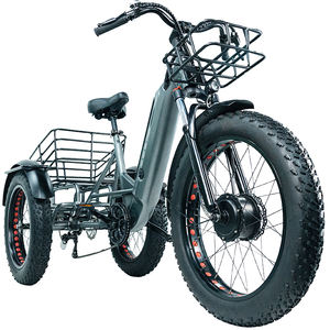 <span class=keywords><strong>2023</strong></span> nouveau modèle usine en gros <span class=keywords><strong>Cargo</strong></span> Ebike avec grand panier 3 roues <span class=keywords><strong>Cargo</strong></span> <span class=keywords><strong>Bike</strong></span> - Product Image 4