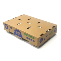Boîtes d'emballage personnalisées pour mangues, boîtes d'expédition en carton ondulé pour fruits frais, boîte d'emballage pour myrtilles