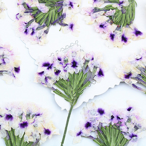 Fleurs de verbena séchées pressées naturelles avec tiges pour la fabrication de résine, de coques de téléphone, de marque-pages et de bougies - Product Image 6