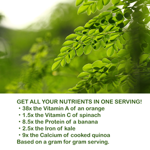 Bán buôn tinh khiết tự nhiên hữu cơ Moringa lá bột tinh khiết tự nhiên giảm béo Trà Moringa gừng Moringa oleifera - Product Image 4