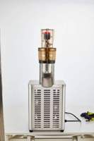 Machine commerciale de jus de gingembre de poire de pomme d'orange d'extracteur de jus efficace élevé