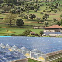 Grande serre agricole solaire avec couverture en verre, structure en acier galvanisé à chaud, ventilation, à vendre