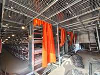 Cage à poules pondeuses de type H pour 1000 poulets, cage à poules pondeuses à 4 niveaux entièrement automatique pour ferme avicole
