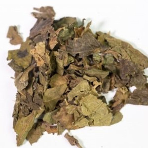 桑葉エキス粉末純粋天然高品質桑葉粉末水溶性粉末 - Product Image 3