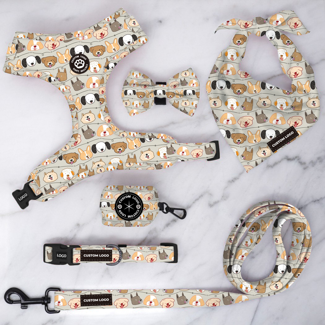 Pet Boutique phổ biến Dog collars và dây xích tùy chỉnh in ấn thêm logo của riêng bạn để khai thác vật nuôi sản phẩm