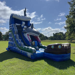 Grote opblaasbare waterspeeltoestel voor volwassenen, aangepaste bedrukking voor attractieparken - Product Image 5