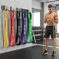 Bandes d'entraînement pour tractions assistées, Bandes de musculation, Bandes pour tractions, Ensemble de tractions assistées par corde, Bande en boucle pour tractions assistées, OEM