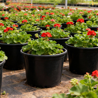 Pots de plantes en plastique noir sans BPA de 7 gallons moulés par injection respectueux de l'environnement Drainage avancé Utilisation à domicile et au jardin