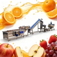 Complete volautomatische lijn voor de verwerking van vers sinaasappel-, citrus- en citroenvruchtensap, inclusief drankenproductielijn en sapvulfmachine