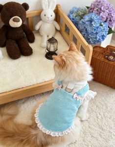 Abbigliamento per animali domestici in poliestere, completo due pezzi estivo leggero: T-shirt, anello per guinzaglio, fiocco e vestito con bretelle per gatti e cani - Product Image 4