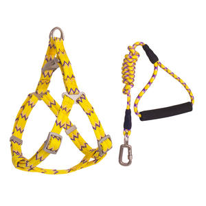 Juego de arnés y correa de nailon duradero para perros con mango de espuma suave - Product Image 4