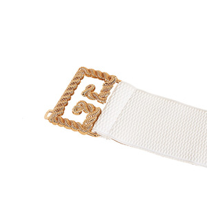 Cinturón de poliéster elástico con sello de cintura ancha para mujer, 120cm, hebilla de aleación decorativa que combina con todo, suministro transfronterizo - Product Image 2