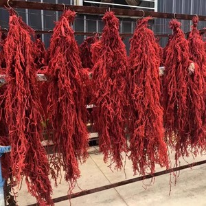 Drago di montagna DIY aromaterapia galleggiante bottiglia di cervo corna di erba pino pino vero fiore vita eterna fiore per la laurea - Product Image 2