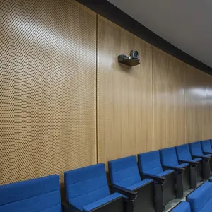 Leeyin声音反光材料木质穿孔墙面板木质吸音板
