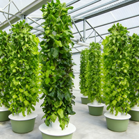 Tour Aérophonique, Système de Culture Vertical Hydroponique pour Légumes d'Intérieur