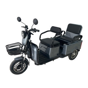 Tricycle électrique HLD 500W à deux places, scooter de mobilité fiable à 3 roues pour les sorties en famille <span class=keywords><strong>et</strong></span> le transport de marchandises - Product Image 6
