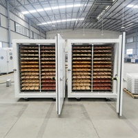 Hete Aanbieding Draagbare All-in-one Fruitdroger Ruimtebesparende Kleine Groentedroger 60 Bakjes Voedseldehydrator Geen Installatie Nodig