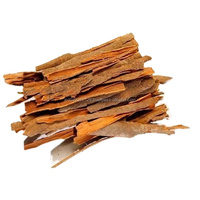 Huile d'écorce de cannelle antibactérienne de qualité supérieure 100% huile essentielle naturelle à base de plantes pour les soins personnels et le diffuseur pur