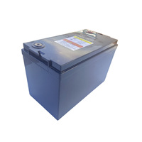 Batería de Iones de Litio LiFePO4 de 24V 100Ah para Montacargas Eléctrico, Paquete de Baterías de Ciclo Profundo, BMS Inteligente, Larga Vida Útil, Fábrica OEM