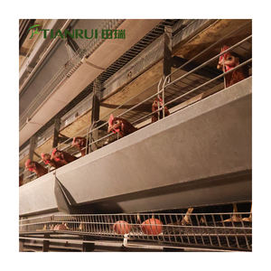 Kanatlı Kümesi Ekipmanları Hayvan Kafesleri Yumurta Tavuğu Kafesi Modern Tasarım H Otomatik Sistem Galvanizli Çelik 10000 Yumurta Tavuğu için - Product Image 5