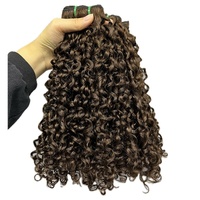 FH 10"-24" Lots de mèches de cheveux humains bruts bouclés Pixie, Double Drawn, Funmi Curl, Cheveux brésiliens vierges, Tissage de cheveux en trame, Bouclés Birmanes