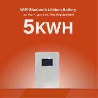 Sistem Penyimpanan Energi Rumah Tenaga Surya Baterai Lithium Server Langsung dari Pabrik 51.2V LiFePO4, Sistem Cadangan Daya, Produsen OEM ODM, BMS CAN
