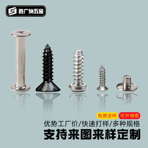 สกรูสแตนเลส Shengguangna M2 M10 หัวฟิลลิปส์ แบบเจาะเกลียวในตัว สำหรับอุตสาหกรรมก่อสร้าง - Product Image 1