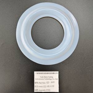 Diafragmas de Plástico Personalizados 155*82*0.8 Diafragma de <span class=keywords><strong>PTFE</strong></span> Resistente al Calor para GM0700/GM1000/GM1200/GM1500 |   Piezas de Bomba de Alta Calidad - Product Image 2